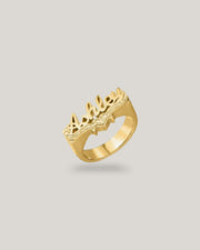 Custom 3D Name Ring